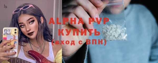 Альфа ПВП Верея