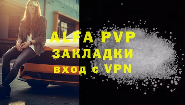 Альфа ПВП Верея